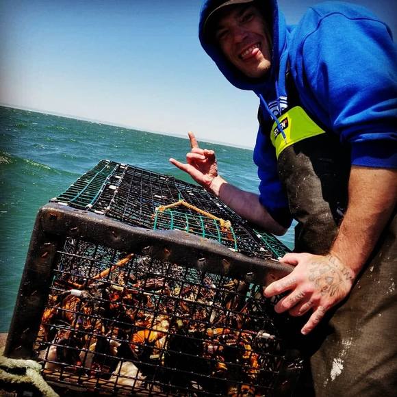 Meet your Posher, Andrew - Picture 1 of 1